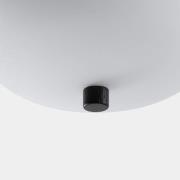 LEDS-C4 Ilargi LED-Hängelampe Phase dunkel Ø 24 cm
