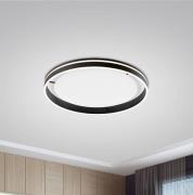 Paul Neuhaus Q-VITO LED-Deckenlampe 79cm anthrazit