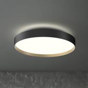 LOOM DESIGN LED-Deckenlampe Lucia schwarz/goldfarben Ø 60 cm