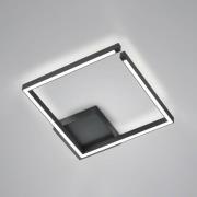 LED-Deckenleuchte Yoko, up/down, 40x40 cm, schwarz