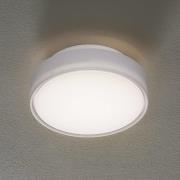 LED-Deckenleuchte Hatton IP65 25 cm