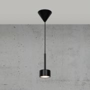 LED-Pendelleuchte Clyde, einflammig, dimmbar