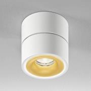 Egger DLS LED-Deckenspot Clippo S, weiß-gold