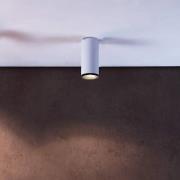 LED-Anbaudownlight Lucea 10 W weiß