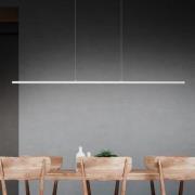 Quitani LED-Pendelleuchte Margita, Länge 118 cm, silber