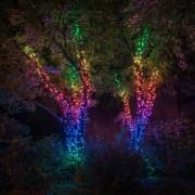 Lichterkette Twinkly RGB, schwarz, 100-flammig 8m