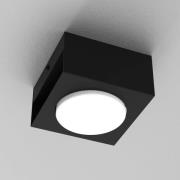 Downlight Ian in Schwarz, einflammig