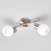 Deckenlampe Elaina 2-flg., nickel matt