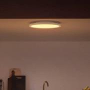 Philips Hue White&Color Surimu Panel weiß Ø 39,5cm