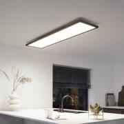 Philips Hue White Amb. Aurelle 120 x 30 cm schwarz