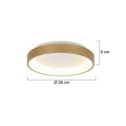 LED-Deckenleuchte Ringlede, gold, Höhe 6 cm, Ø 28 cm