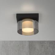 Paul Neuhaus LED-Deckenlampe Rika, schwarz, Länge 15 cm