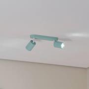 Deckenstrahler Livia, mintgrün, 35 cm, 2-flg., Metall, GU10