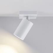 Deckenspot CAN TILT, weiß, 11 x 9 cm, 1-flammig, Metall GU10