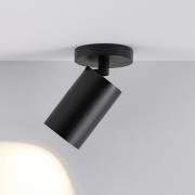 Deckenspot CAN TILT, schwarz, Ø 8 cm, 1-flammig, Metall GU10