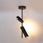 Deckenspot Leda 2, anthrazit, 2-flammig, Stahl, Höhe 55 cm
