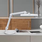LED-Arbeitsplatzleuchte MAULintro, weiß, 46 cm, Standfuß