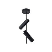Deckenspot Leda 2, anthrazit, 2-flammig, Stahl, Höhe 55 cm