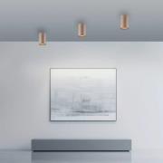 PURE LED-Bad-Deckenlampe Point, bronzefarben, Ø 6 cm, IP44