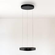 Paul Neuhaus LED-Pendelleuchte Q-Stretto, schwarz, 40,8cm