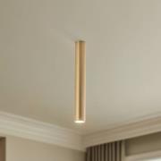 Deckenstrahler Eye, Höhe 40 cm, messing