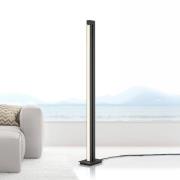 LED-Stehlampe PURE Lines Floor, graphite, 140 cm, CCT, dim.