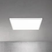 LED-Deckenlampe Disc, weiß, Länge 60 cm, CCT, Metall