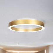 LED-Deckenlampe Ringlux goldfarben, Ø 30 cm, Metall, 2.700 K