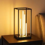 LED-Tischleuchte Grid, schwarz/gold, Metall, CCT, dimmbar