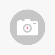 Muuto Hängeleuchte Ambit, Ø 16,5 cm, dusty green