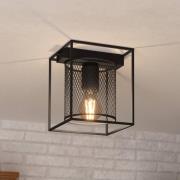 Deckenleuchte Catterick, schwarz, ein Käfigschirm