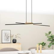 LED-Hängeleuchte Panagria, schwarz mit Holzdetail