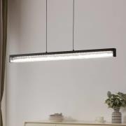 LED-Hängelampe Cardito Tunable white 100cm schwarz