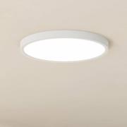 Deckenleuchte Nohales, Länge 64 cm, schwarz/messing, 2-flg.