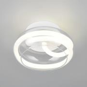 LED-Wandlampe Tarsia, weiß matt, Ø 21,5 cm, Glas