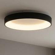 LED-Deckenlampe Niseko II CCT Fernbedienung, Ø 38cm, schwarz