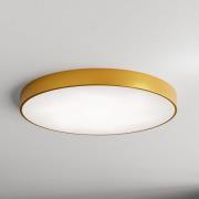 Deckenleuchte Cleo, Ø 78 cm, IP20, goldfarben, Metall, E27