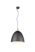 Pendelleuchte X JAGGER 1xE27 von REALITY Leuchten R30681932 Schwarz