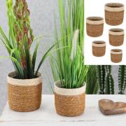 Pflanzkorb Seegras 1 Stück von Cepewa Weiß/Natur XXL ca. 20x20x20 cm