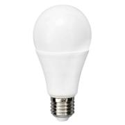 Flos - Leuchtmittel LED 21W (2452lm) A65 3000K E27 Greenplux