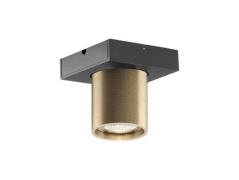 Light-Point - Focus Mini 1 LED Deckenleuchte 3000K Brass