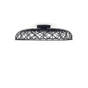 Flos - Skynest C Wand-/Deckenleuchte Anthracite