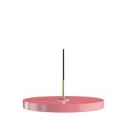 Umage - Asteria Plus Pendelleuchte Medium Nuance Rose/Messing