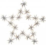 Silhouette Flower Star (Transparent)