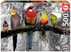 Educa Puzzle Birds On The Jungle 500 Teile