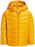 Nordbjørn Cortina Steppjacke, Sunflower, 116