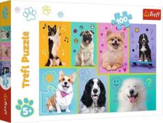 Trefl Puzzle Hundewelt 100 Teile