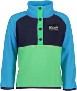 Didriksons Monte Fleece-Pullover, Frog Green, 80