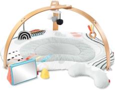 Skip Hop Discoverosity Spielbogen, White/Grey, Babyspielzeug