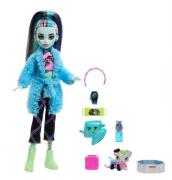 Monster High Creepover Party Puppe Frankie Stein